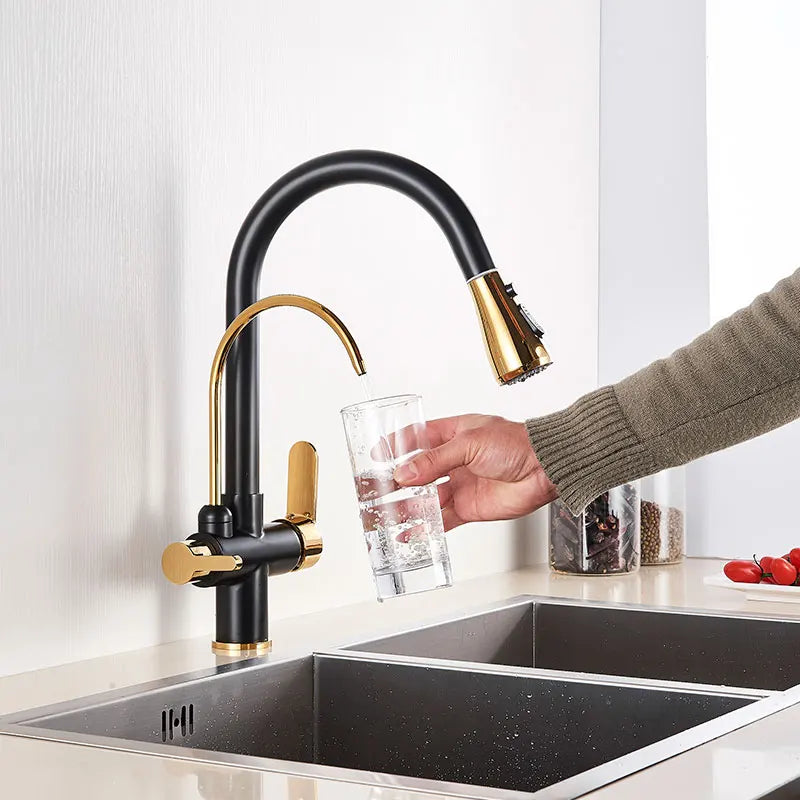 Hownifety Pullout Water Filter Kitchen Faucet Cold Hot Tap