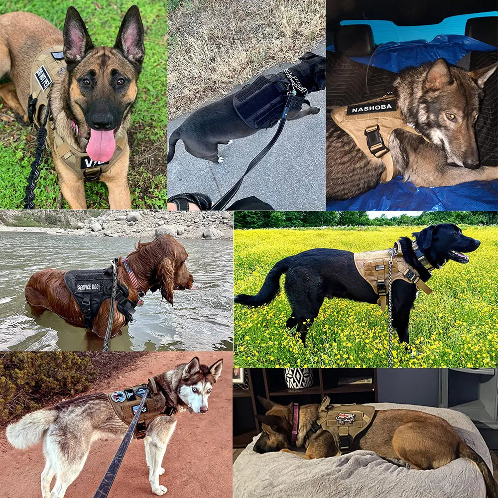 Dog Harness And Leash Set For German Shepherd Malinois Training